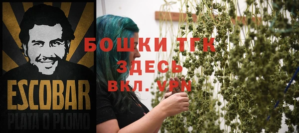 стаф Галич