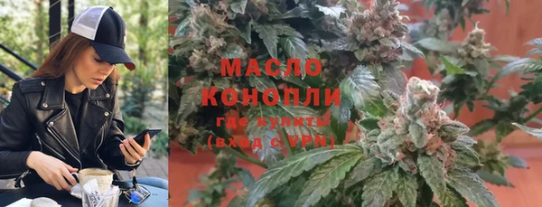 дживик Гатчина